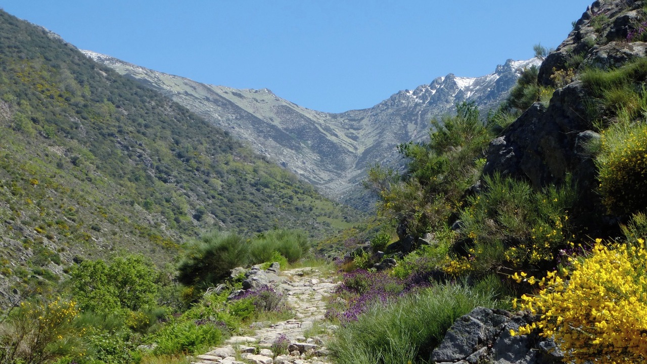Photo of Others in Cuacos de Yuste
