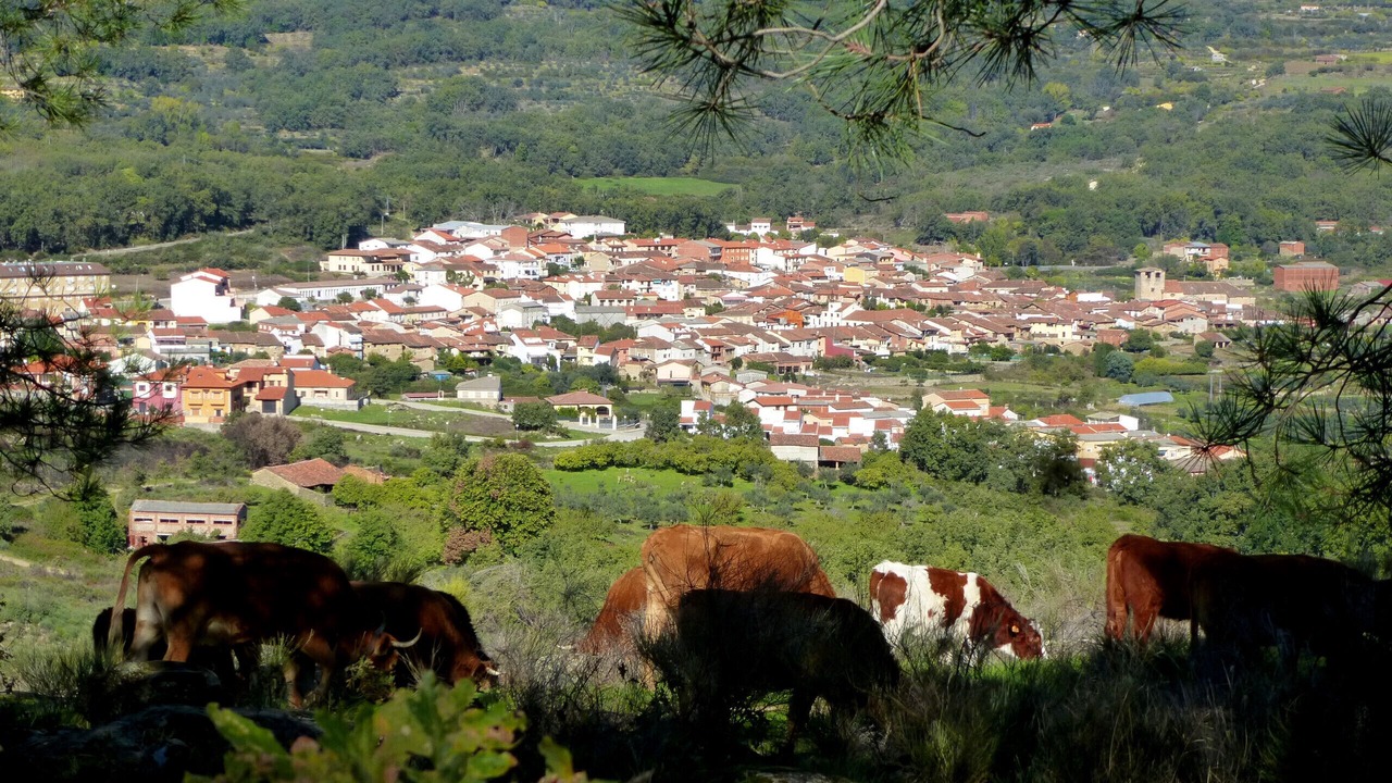 Photo of Outdoor in Cuacos de Yuste