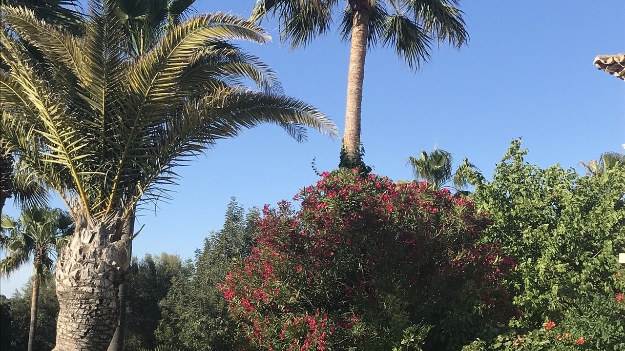 Photo of Outdoor in Son Gual