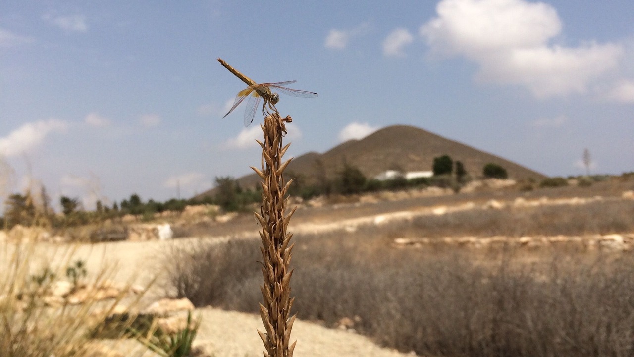 Photo of Outdoor in Fernan Perez