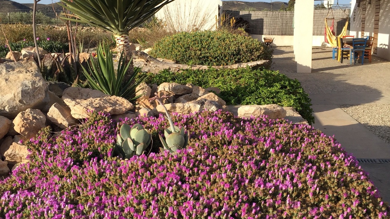 Photo of Outdoor in Fernan Perez