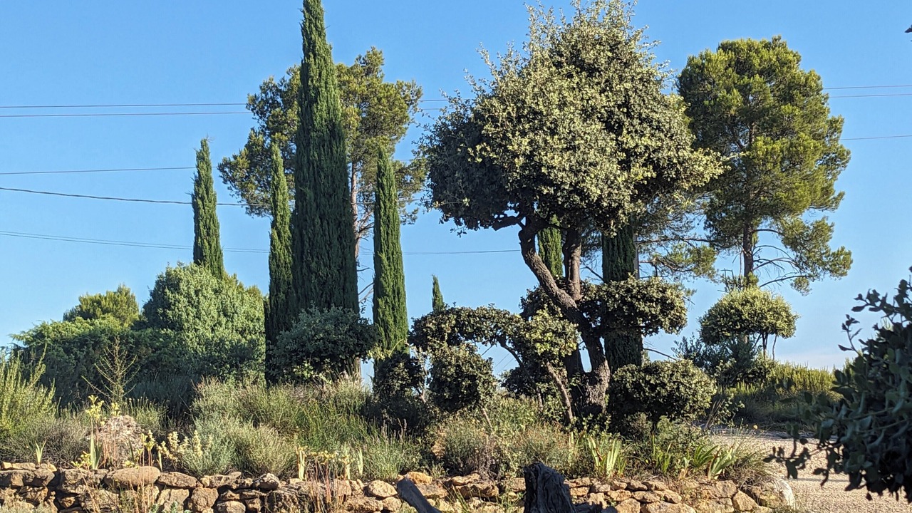 Photo of Outdoor in Jouques