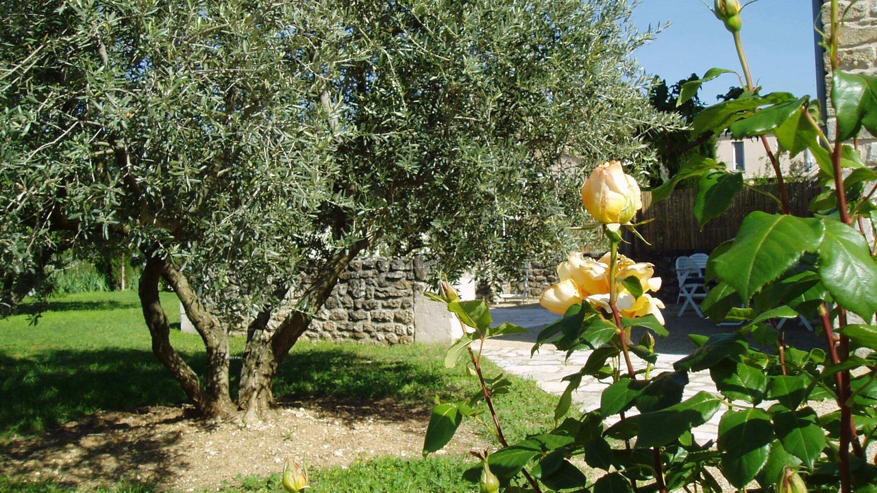 Photo of Outdoor in Maubec