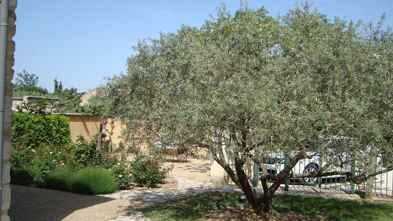 Photo of Outdoor in Maubec