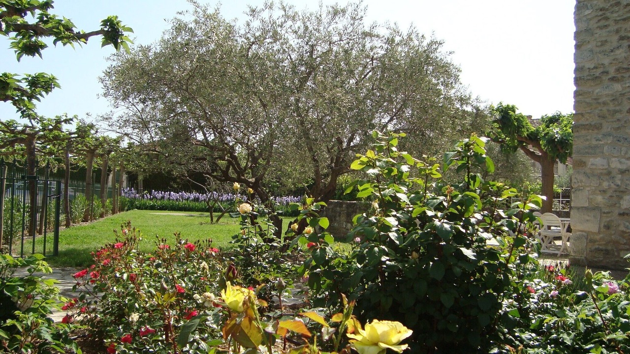 Photo of Outdoor in Maubec