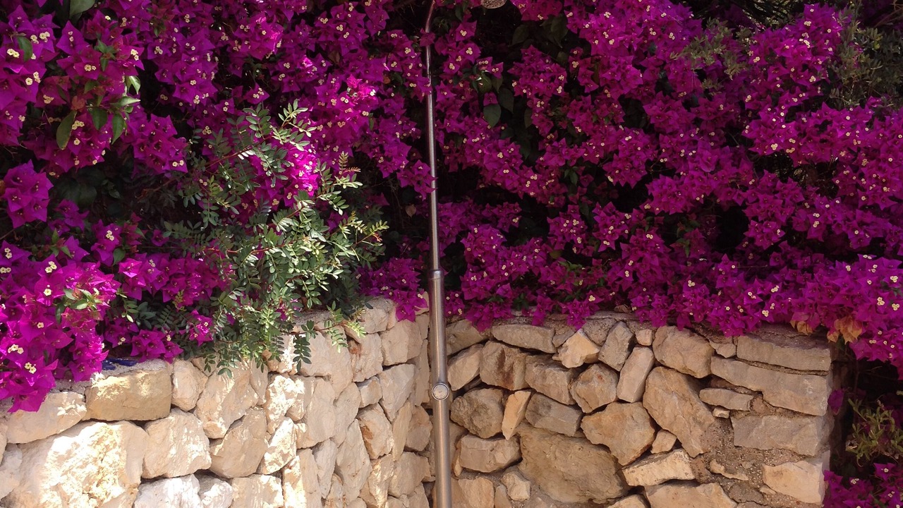 Photo of Outdoor in Cap de la Nau