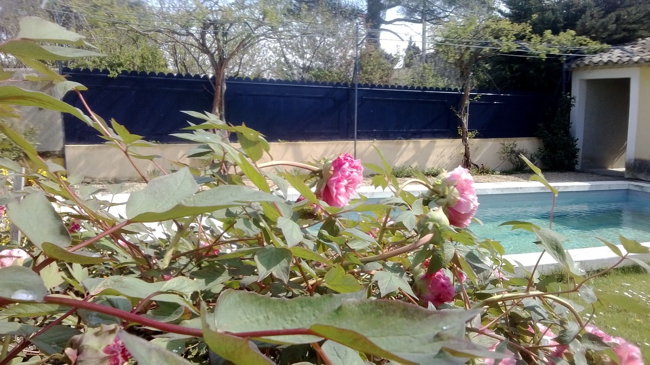 Photo of Outdoor in St.-Remy-de-Provence