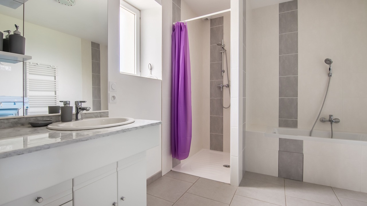 Photo of Bathroom in Roybon