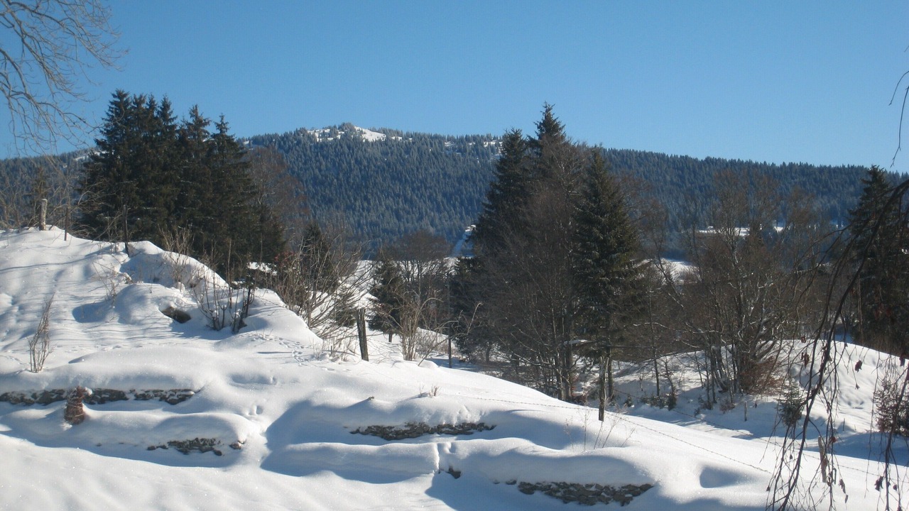 Photo of Others in Les Rousses