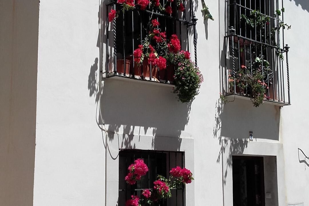 Photo of Outdoor in La Catedral