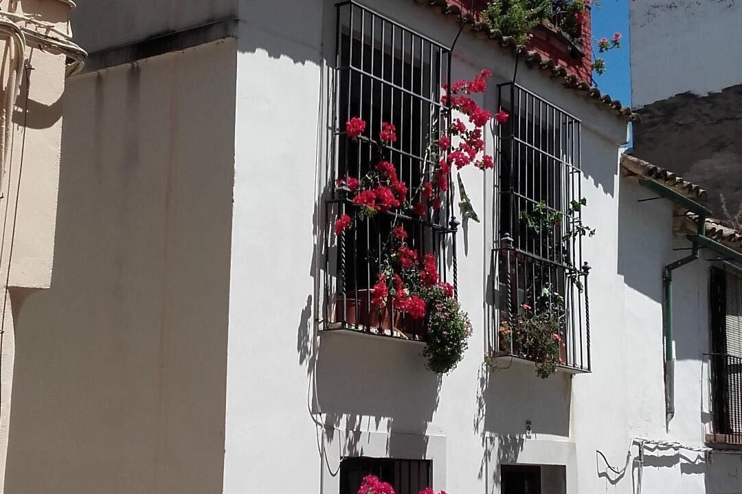 Photo of Outdoor in La Catedral