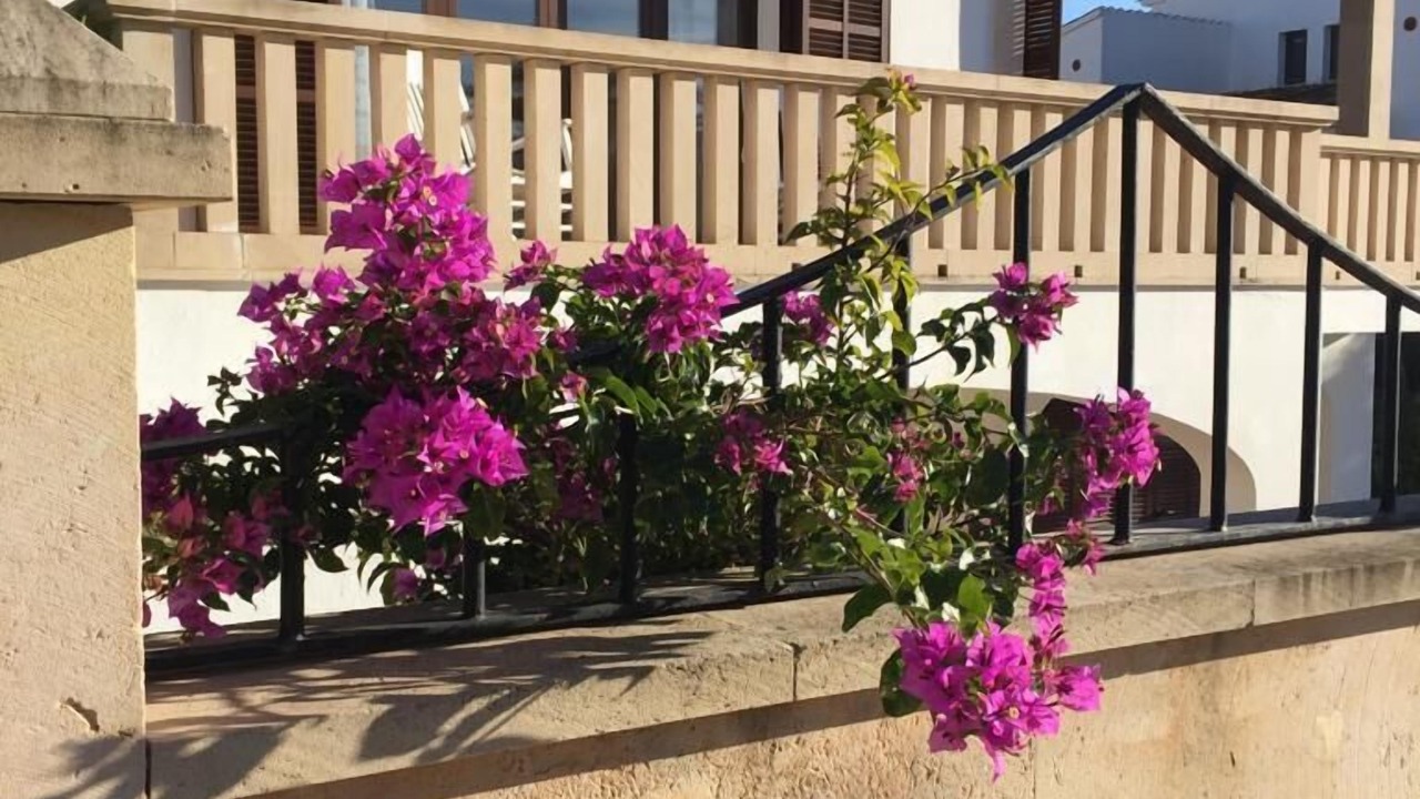 Photo of Outdoor in Portocolom