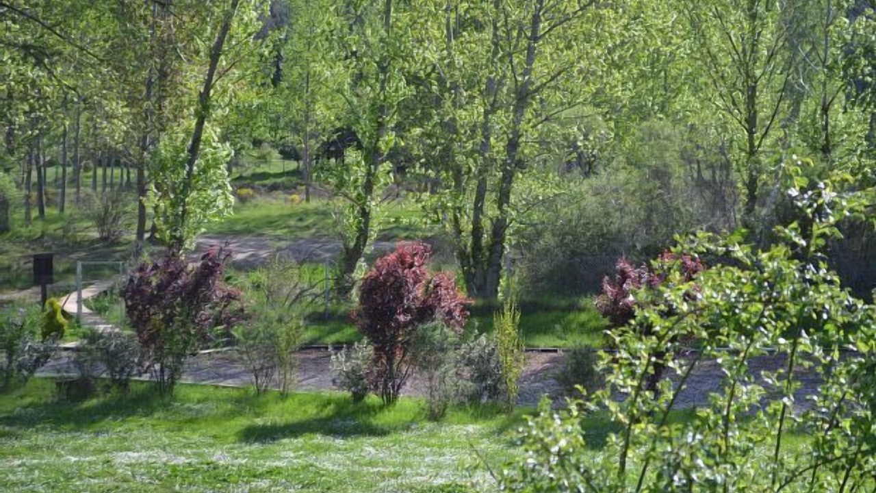 Photo of Outdoor in La Minosa