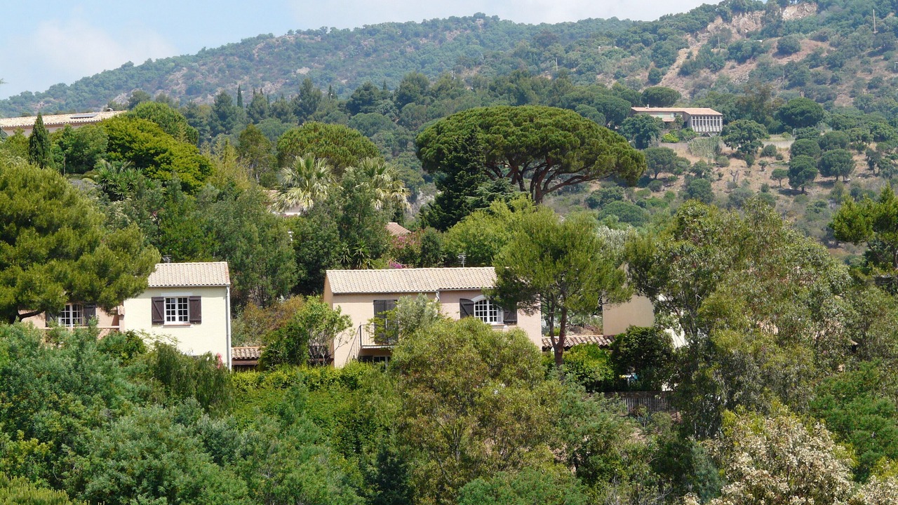 Photo of Outdoor in Bormes-Les-Mimosas