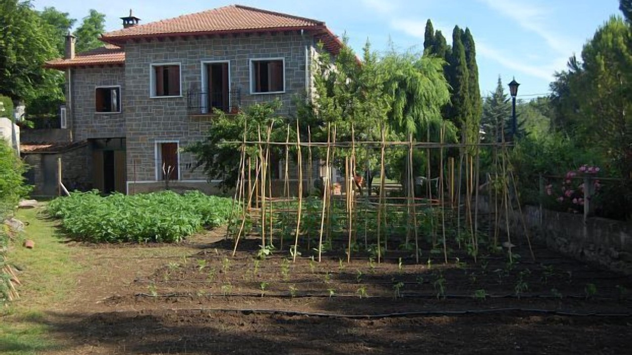 Photo of Outdoor in Mediano