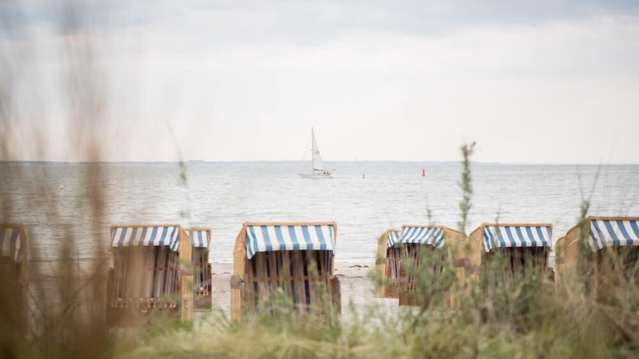 Photo of Others in Niendorf