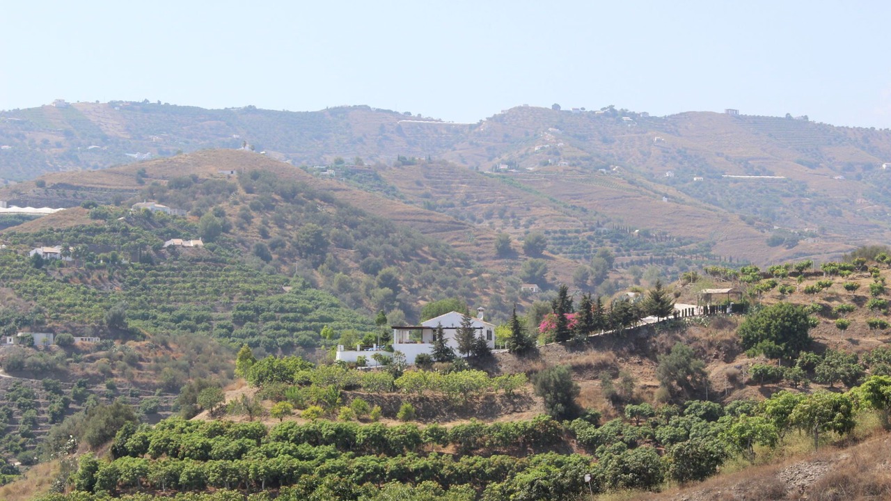 Photo of Others in Frigiliana