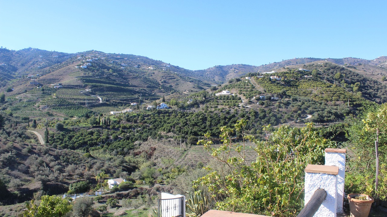 Photo of Others in Frigiliana