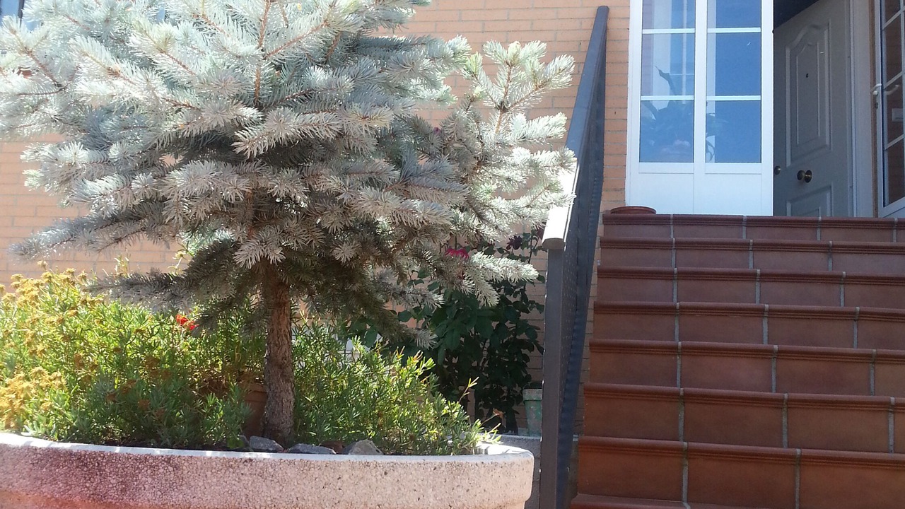 Photo of Outdoor in Montesol