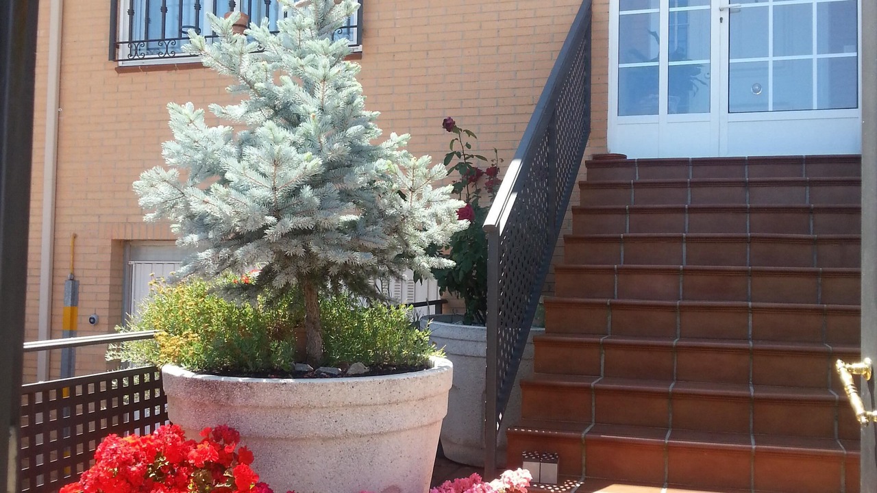 Photo of Outdoor in Montesol