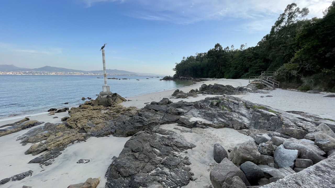 Photo of Others in Moana