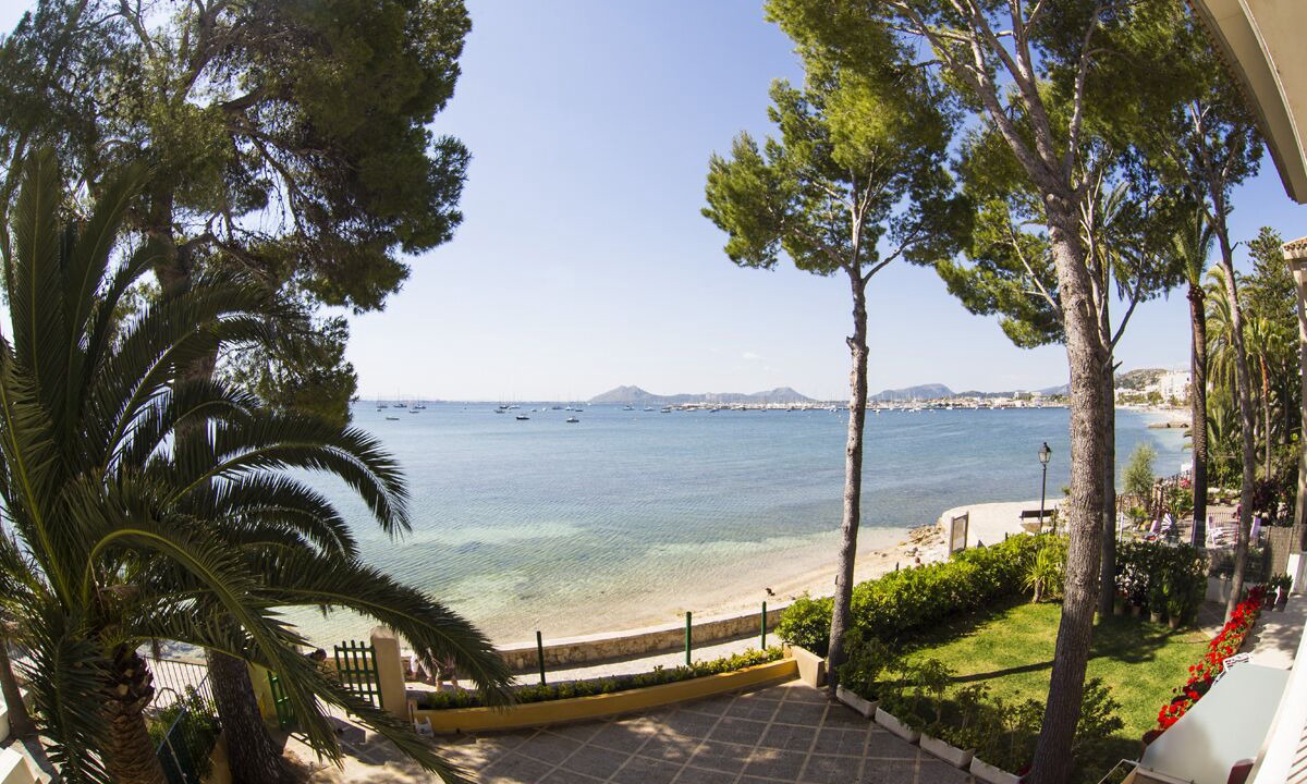 Photo of Others in Puerto de Pollensa