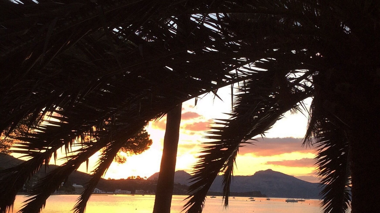 Photo of Others in Puerto de Pollensa