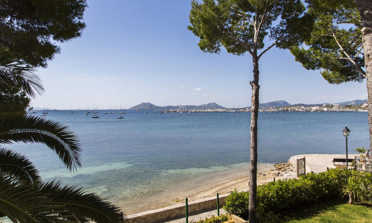 Photo of Others in Puerto de Pollensa