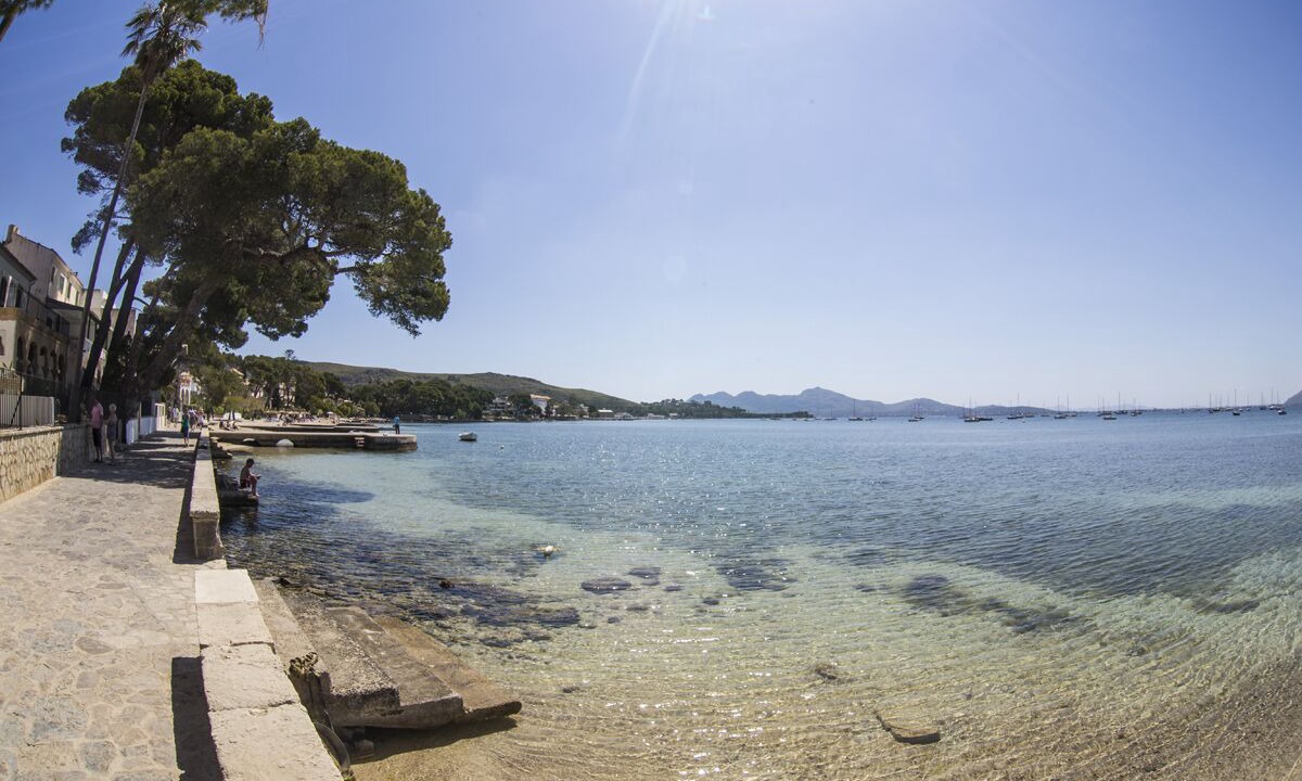 Photo of Others in Puerto de Pollensa