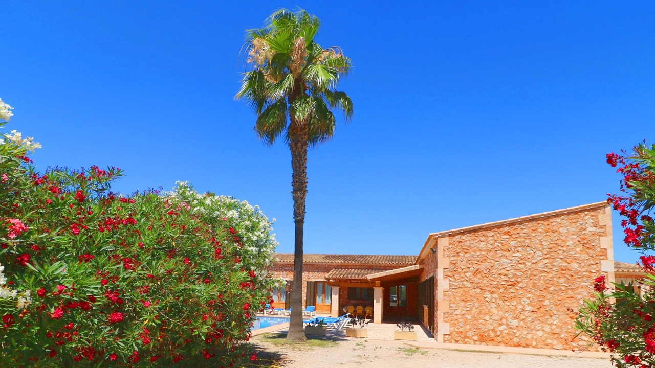 Photo of Outdoor in Campos