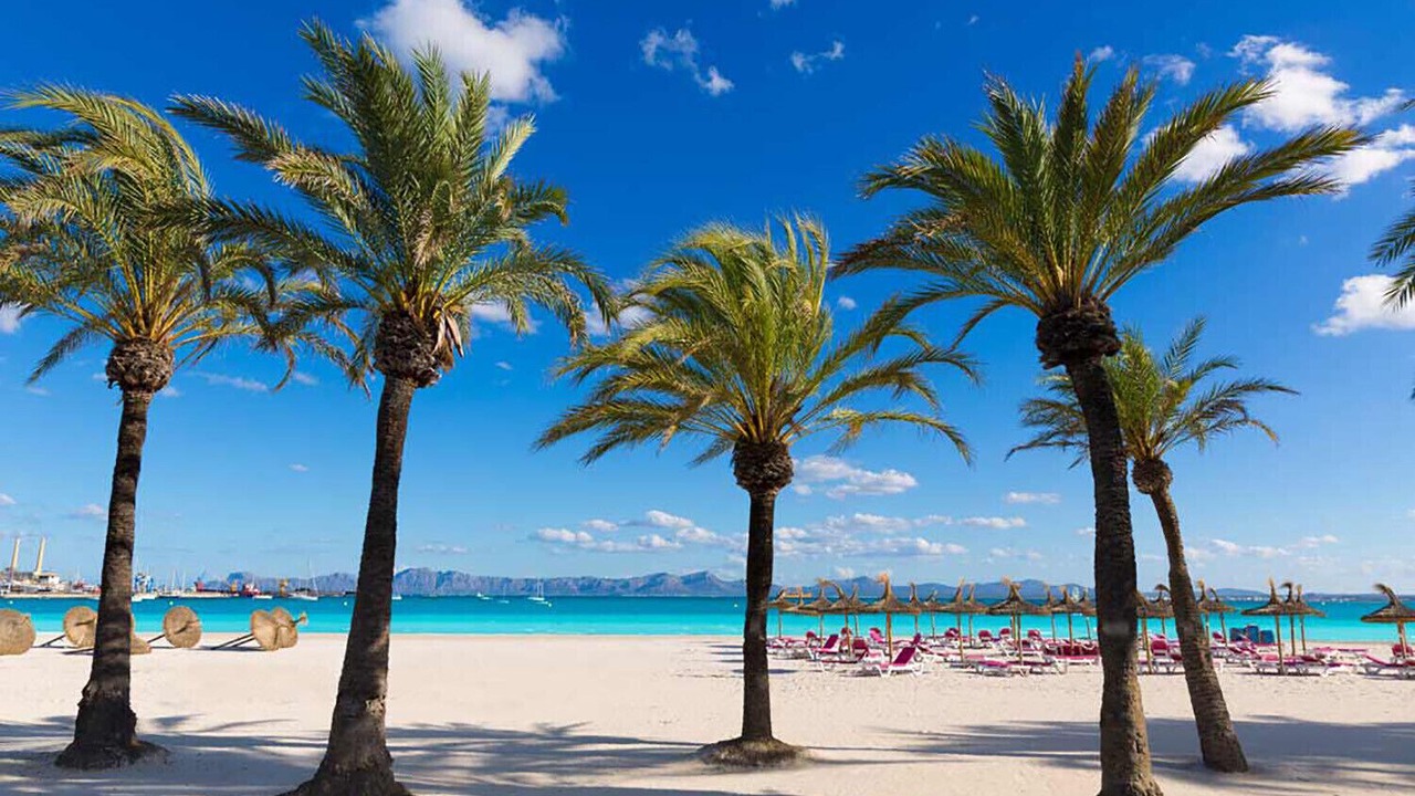 Photo of Others in Alcudia