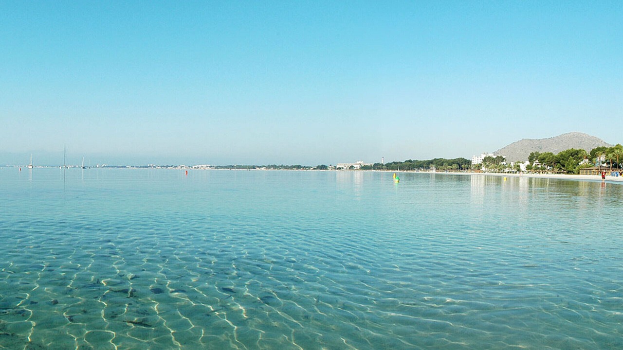 Photo of Others in Alcudia
