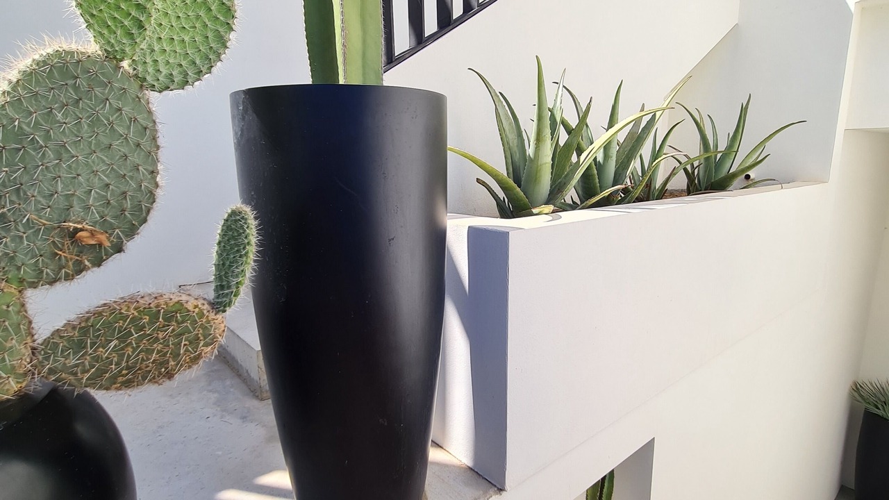 Photo of Outdoor in Begur
