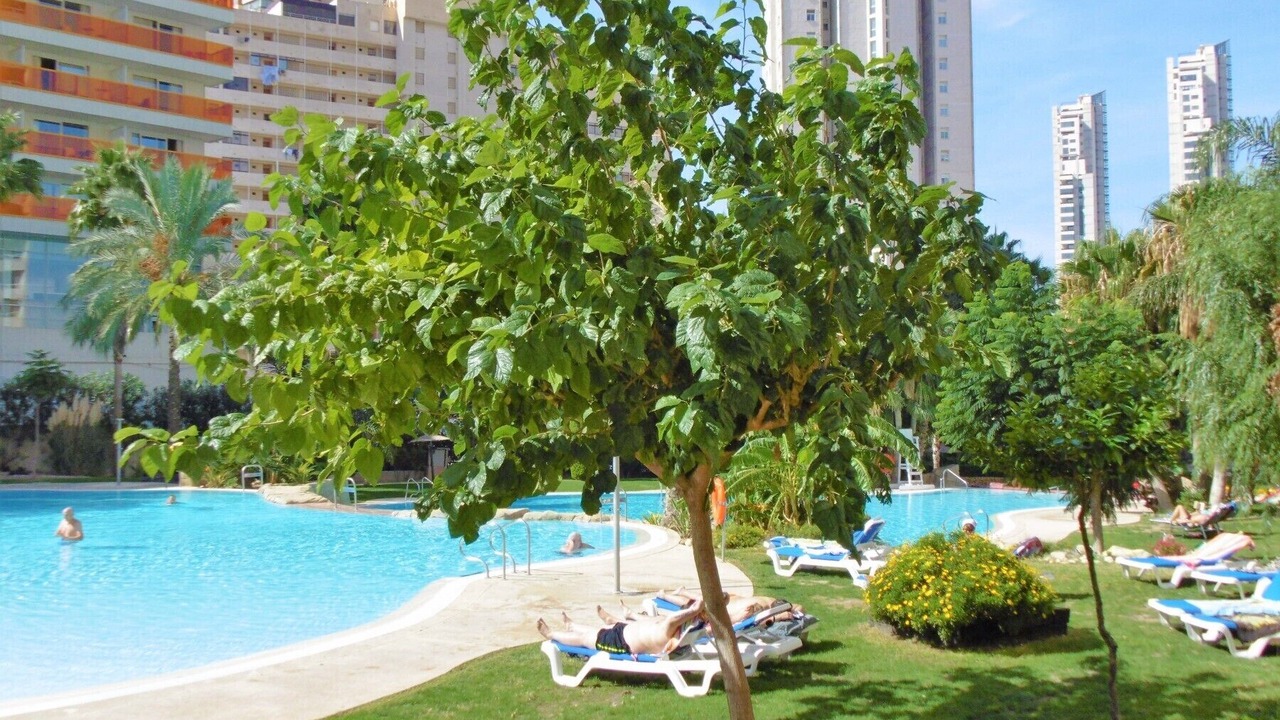 Photo of Outdoor in Rincon de Loix