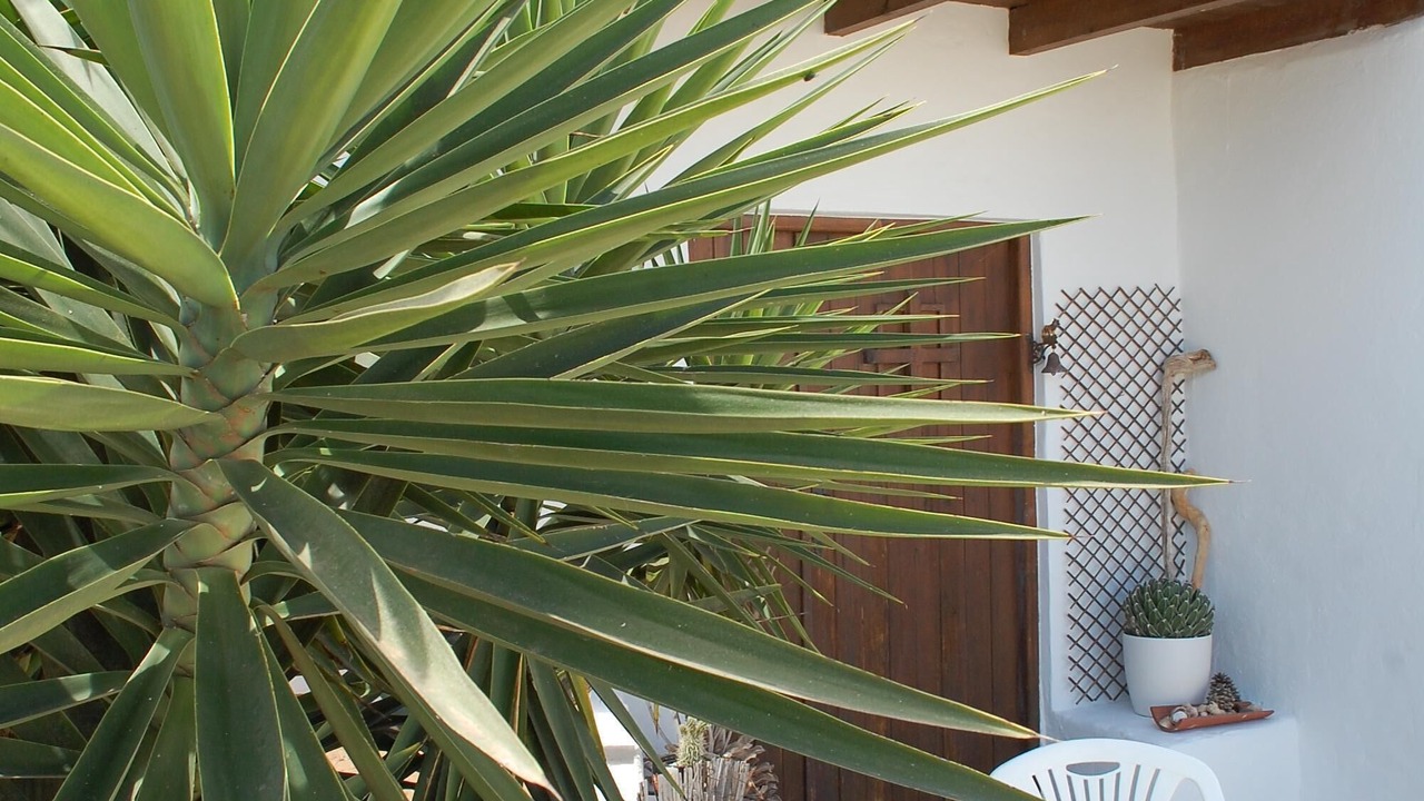Photo of Patio Balcony in Villaverde