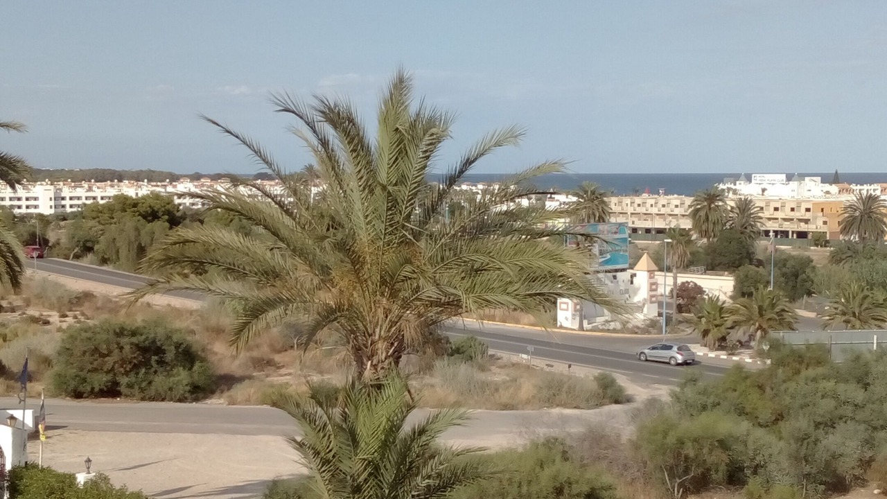 Photo of Outdoor in Vera Beach