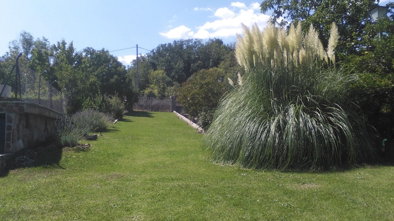 Photo of Outdoor in Navaluenga