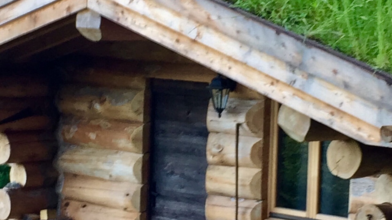 Photo of Outdoor in Collonges-sous-Saleve