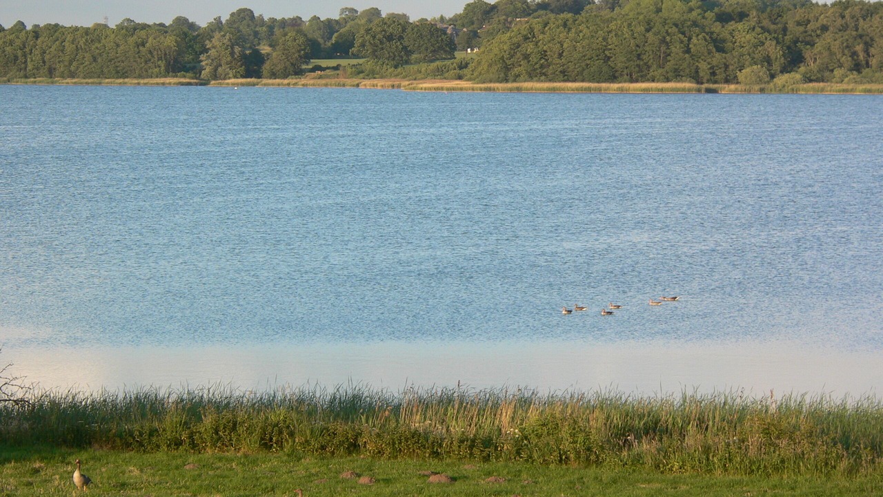Photo of Others in Hemmelsdorf