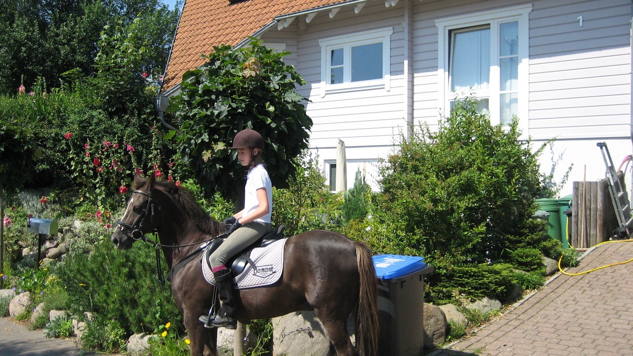Photo of Outdoor in Hemmelsdorf