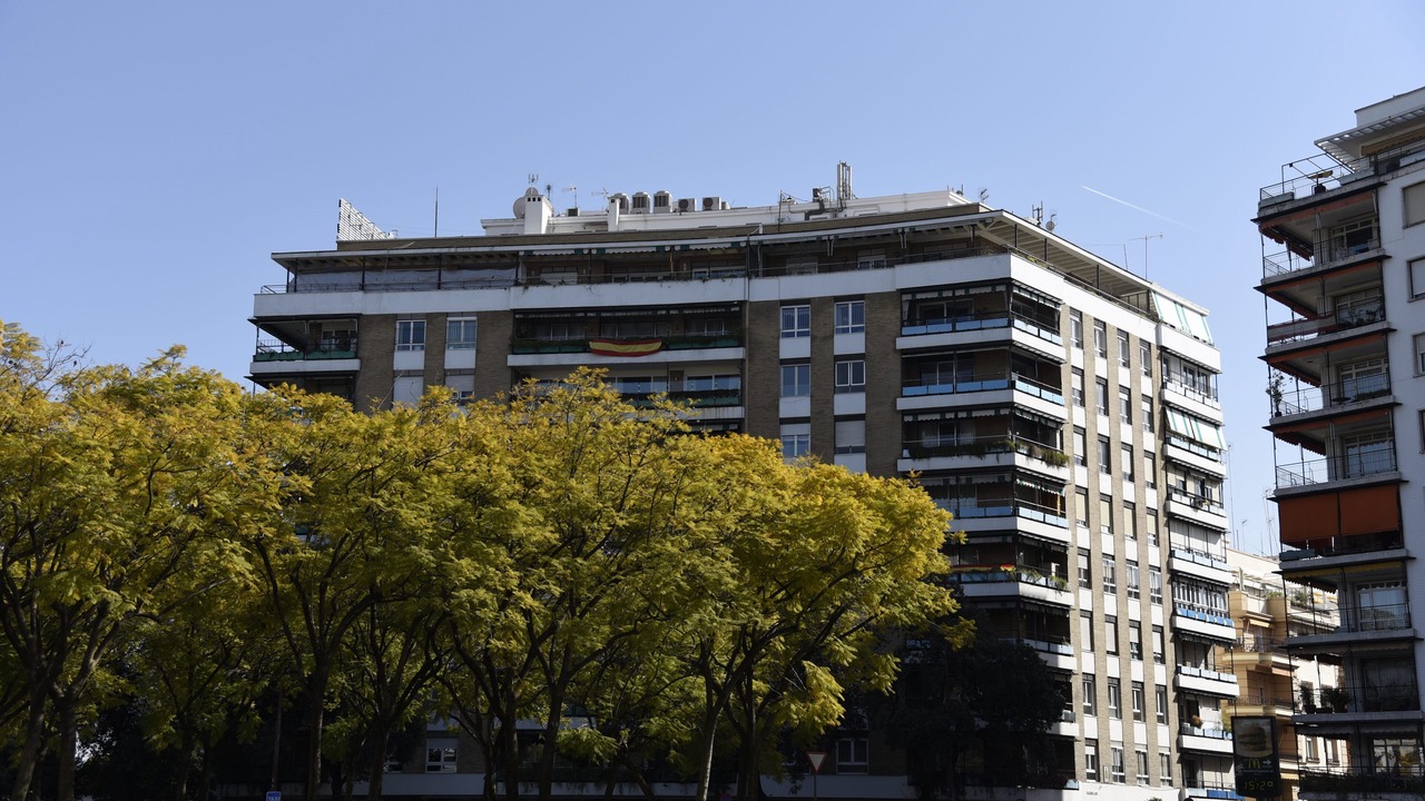 Photo of Outdoor in Triana