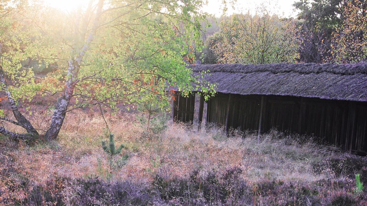 Photo of Outdoor in Lubberstedt