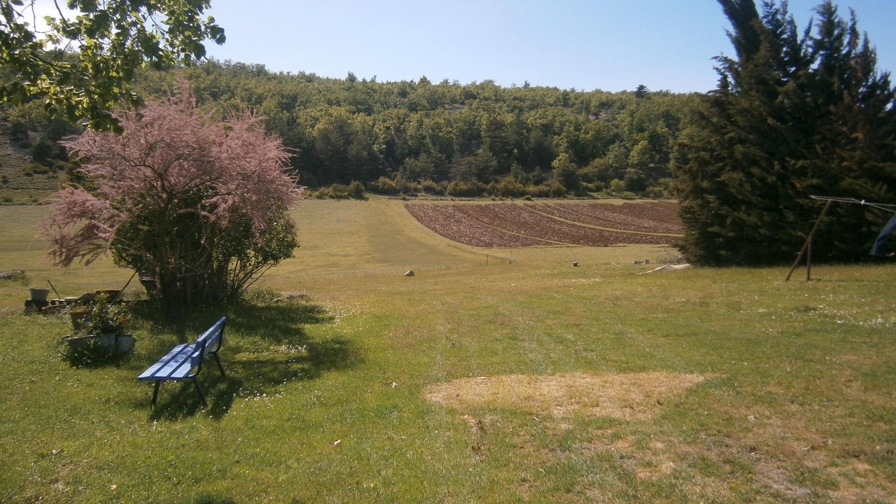Photo of Outdoor in Sault