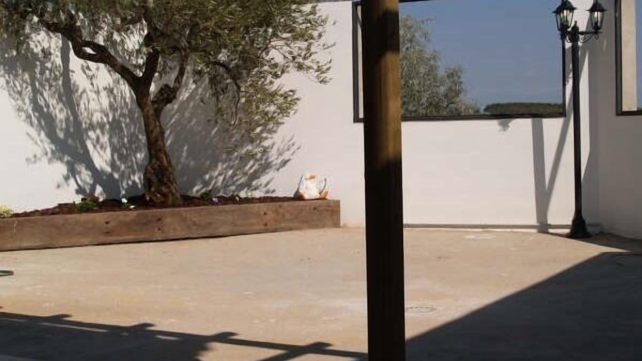 Photo of Outdoor in Milagro