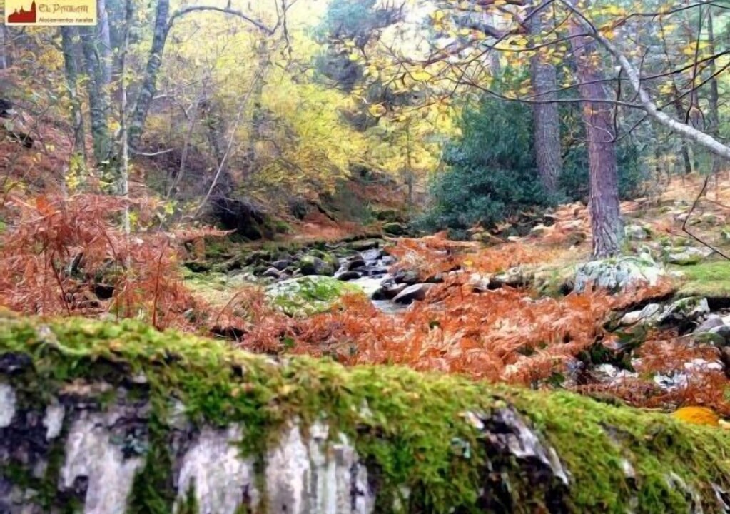 Photo of Outdoor in Rascafria