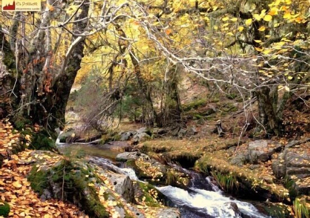 Photo of Outdoor in Rascafria