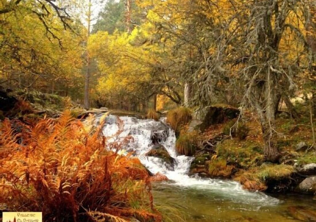 Photo of Outdoor in Rascafria