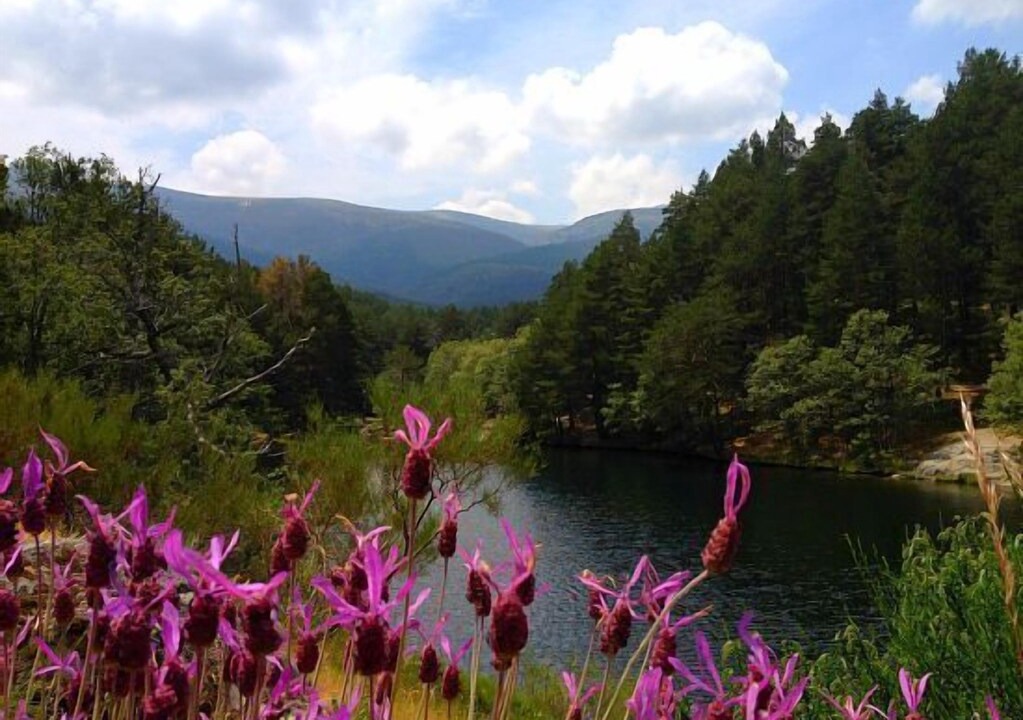 Photo of Outdoor in Rascafria