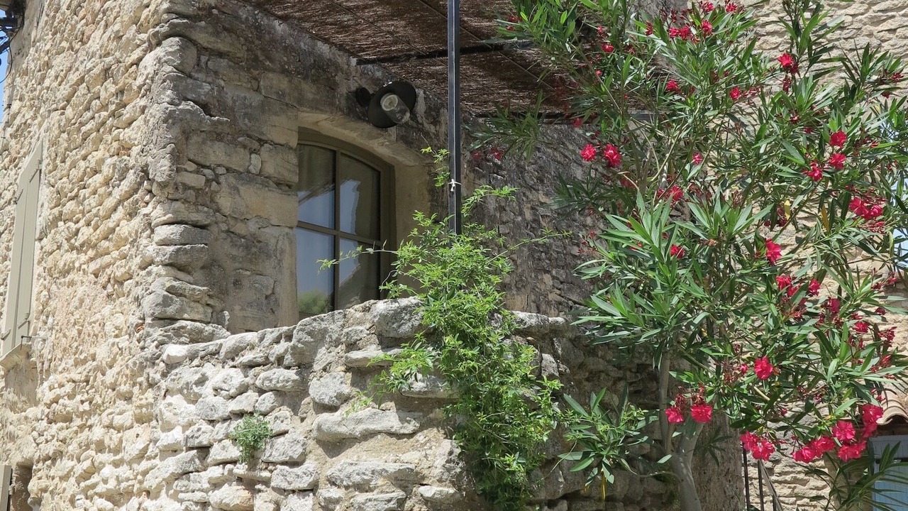 Photo of Others in Goult