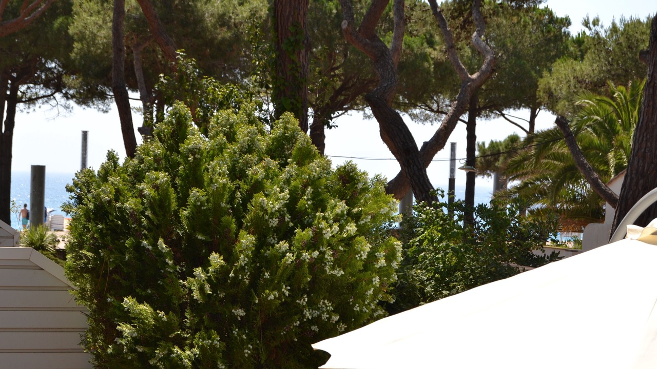 Photo of Outdoor in Platja d'Aro